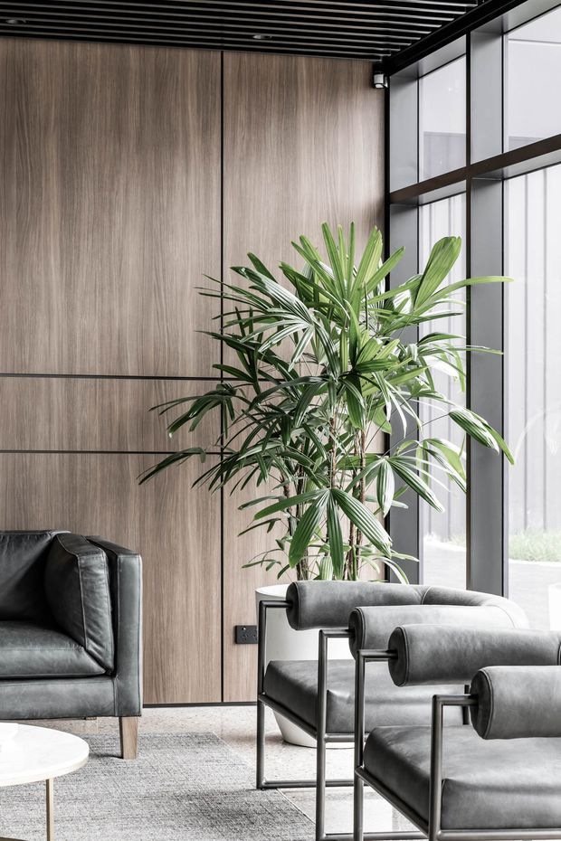 A refined contemporary interior lounge or reception area featuring grey leather armchairs and sofa seating, a pale round coffee table, a large indoor palm, and a textured grey rug. The room has full-height timber wall panelling, expansive black-framed glazing, and a striking black slatted ceiling, creating a sophisticated, airy and natural atmosphere.