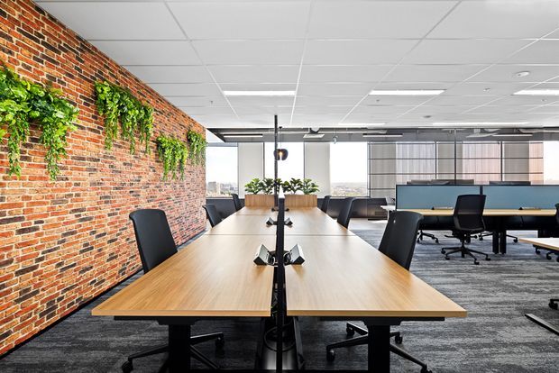 Contemporary open-plan office with a long light-wood communal meeting table, black office chairs, exposed red-brick feature wall with hanging greenery, glazed windows, suspended linear lighting, acoustic ceiling tiles, and carpeted flooring. Workstations are visible in the background.