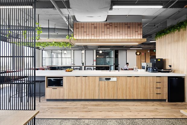 Open-plan commercial kitchen and breakout area with a long light-wood island, white benchtop, integrated appliances, black metal-framed cabinetry and partitions, exposed industrial ceiling services, timber wall cladding, and suspended greenery. Glazed meeting or office spaces are visible in the background.