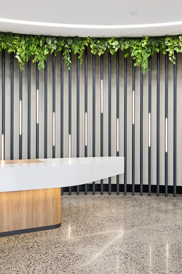 A bright, contemporary reception or entry space featuring a curved white reception desk with a light timber front, a polished terrazzo floor, and a striking wall of vertical dark metal fins with integrated linear lighting. A lush suspended green planting feature runs along the curved ceiling edge, adding an organic contrast to the refined commercial interior.