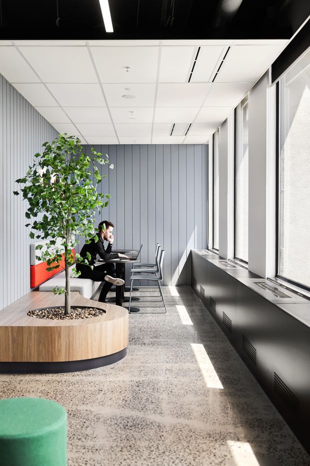 A bright contemporary commercial interior with a linear lounge and work area beside expansive windows. The space features a grey vertical-panel feature wall, white suspended acoustic ceiling, polished terrazzo-style flooring, black window-line heating or joinery, a circular timber planter with an indoor tree, built-in upholstered seating, a small desk, and simple chairs. Strong sunlight creates contrasting bands of light across the floor.