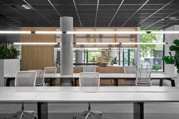 Contemporary open-plan commercial workspace with rows of white desks and mesh office chairs, a central exposed concrete column, timber veneer joinery and partitions, linear pendant lighting, a dark suspended grid ceiling, indoor plants, and large windows overlooking greenery.