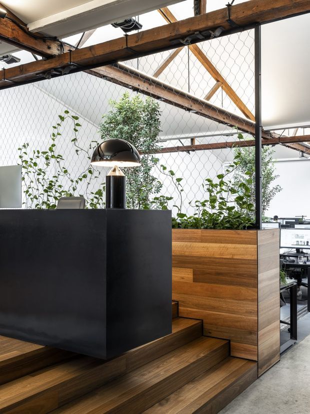 A contemporary commercial office interior with a black reception desk, integrated timber stepped platform and planter joinery, exposed dark timber roof beams, chain-link mesh partitions, indoor greenery, and a black dome desk lamp. Workstations are visible beyond the reception area.