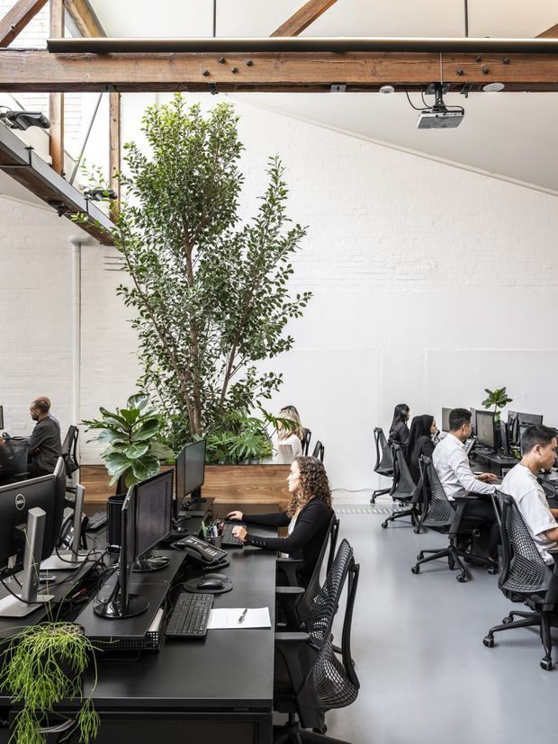 Bright open-plan office interior in a converted industrial-style space, with rows of computer workstations, employees, abundant indoor planting, white-painted brick walls, exposed timber beams and a high sloped ceiling. A ceiling-mounted projector and generous glazing contribute to a spacious, collaborative workplace atmosphere.
