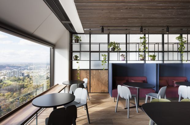 Contemporary high-rise communal lounge or breakout space with floor-to-ceiling glazing overlooking an urban landscape. The room features black-framed internal glazing and shelving with potted plants, timber slatted ceiling, warm timber flooring, dark blue booth partitions, burgundy upholstered banquettes, and compact round tables with modern chairs. The space is bright, refined, and suited to a commercial office or hospitality setting.