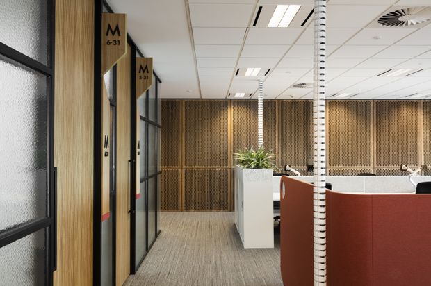A contemporary open-plan office interior with workstations, rust-red upholstered privacy screens, white desks, and a carpeted floor. The space features timber-framed glazed meeting-room partitions along the left, perforated timber acoustic wall panels at the rear, exposed services in a white suspended ceiling, and a white structural column with black horizontal banding.
