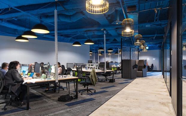 An open-plan commercial office with rows of workstations, computers, office chairs, meeting and lounge areas, and a long circulation path. The space has a striking blue exposed services ceiling, dark metal-framed glazing and partitions, patterned carpet tiles, polished concrete flooring, and numerous suspended pendant lights.