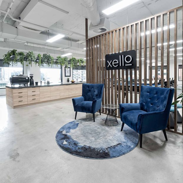 A bright contemporary office reception and lounge area with an exposed services ceiling, polished concrete floor, pale timber reception cabinetry, hanging greenery, and a vertical timber slat divider. Two deep blue upholstered armchairs and a small round side table sit on a circular blue and grey rug beside a black reception sign reading “xello”. Workstations and city views are visible beyond the divider.