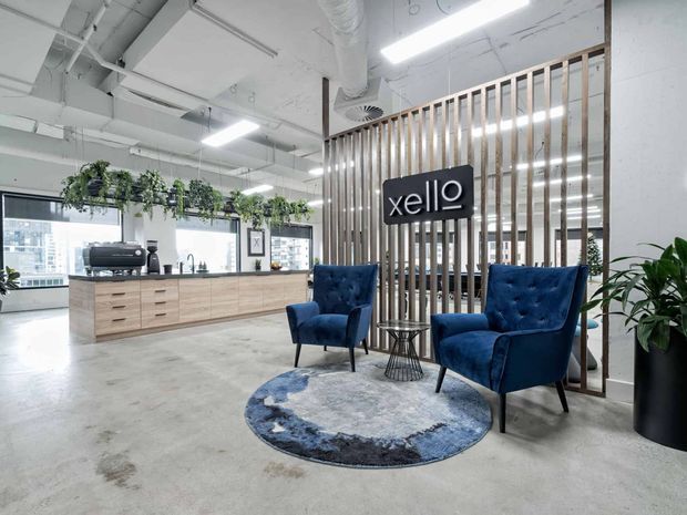 Bright open-plan commercial office reception or breakout area with polished concrete flooring, exposed white services and ductwork, linear pendant lighting, a long timber kitchenette or storage counter, and a vertical timber batten screen. Two deep blue upholstered lounge chairs and a round blue-grey rug create a waiting area beside a branded wall sign. Large windows, suspended greenery, and indoor plants add softness to the industrial fit-out.
