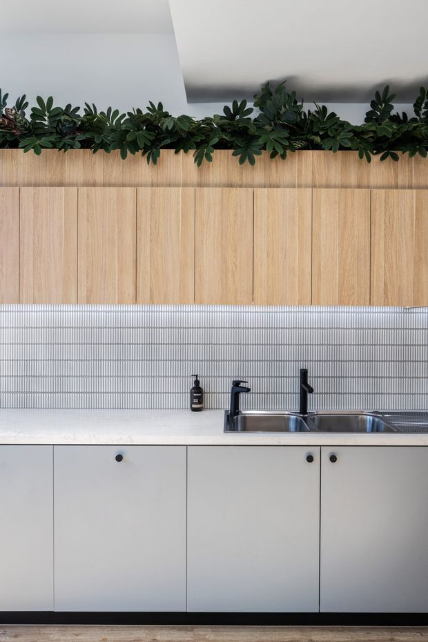 Close-up view of a contemporary kitchen sink area featuring pale wood upper cabinetry, white lower cabinetry, a fine white linear tiled backsplash, stainless-steel double sink and black tapware. A leafy green plant arrangement runs along the top of the cabinetry, adding a natural accent.
