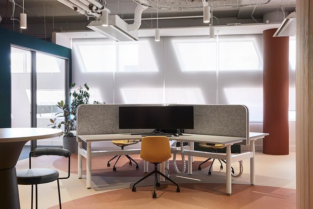 A bright contemporary open-plan office with shared workstation desks, acoustic desk screens, computer monitors, task chairs, and exposed services overhead. Large diffused windows provide natural light, while a teal glazed partition, cylindrical terracotta column, timber wall lining, indoor plant, and patterned carpet add colour and texture.