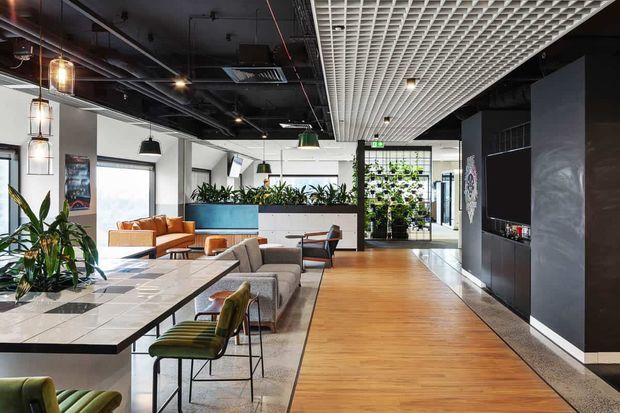A spacious contemporary commercial interior featuring an open-plan lounge and dining area, polished concrete and timber flooring, a large tiled communal table, upholstered seating, indoor planting, exposed black services, pendant lighting, and a distinctive white grid ceiling. Dark built-in joinery and glazed doors define the rear of the space.