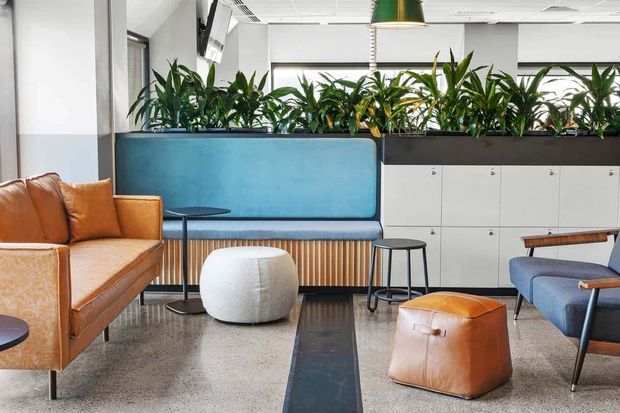A bright contemporary commercial lounge or breakout area with a blue upholstered built-in banquette, tan leather armchairs and ottomans, small black side tables, and extensive indoor planting. White built-in cabinetry runs behind the seating, while terrazzo-style flooring, timber slats, and a suspended green pendant add texture and colour. The space has a polished, welcoming workplace or hospitality character.