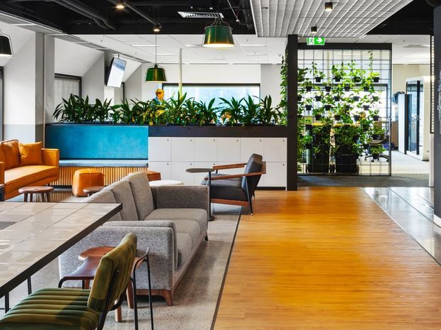 Contemporary commercial lounge and reception area with warm timber flooring, grey upholstered seating, leather lounge chairs, a turquoise built-in planter, abundant indoor greenery, and a black-framed glazed partition. The space features exposed dark ceiling services, pendant lighting, and a bright open-plan layout.