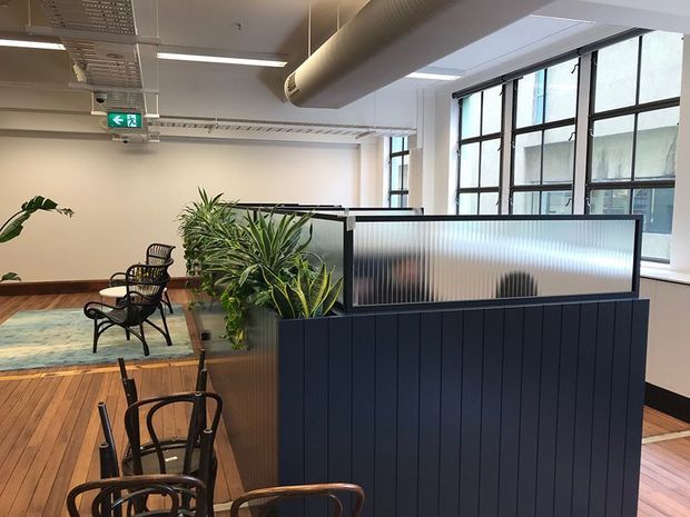 An airy commercial interior with a café-style seating area, timber flooring, black bentwood chairs, abundant indoor plants, and a dark blue-black slatted partition topped with translucent ribbed glazing. Large black-framed windows, exposed services, linear lighting, and ductwork create a contemporary adaptive office or hospitality environment.