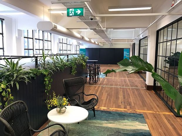 A bright, open-plan commercial interior with exposed services and ductwork, black-framed glazed partitions, large windows, timber flooring, and extensive built-in planter dividers. A small seating area with black woven chairs, a round white table, and a patterned rug sits in the foreground, while tables and stools occupy the workspace beyond. Exit signage and office-style lighting reinforce the workplace setting.