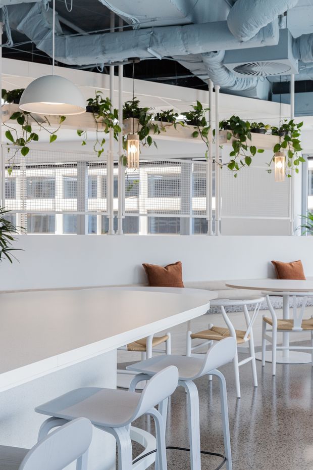 A bright contemporary commercial interior, likely a café, hospitality venue, or office breakout dining area. The space features long white communal tables with pale grey chairs and stools, built-in white banquette seating with rust-brown cushions, polished terrazzo flooring, extensive exposed light-blue HVAC ductwork, hanging pendant lights, white mesh partitions, and trailing indoor plants. The overall design is airy, functional, and lightly industrial with strong white and pale blue tones.