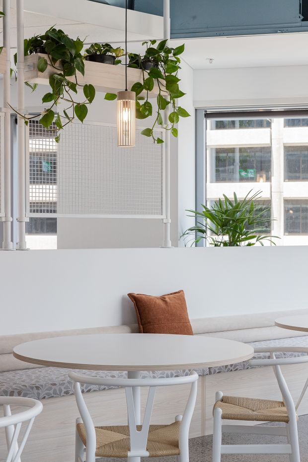 A bright, contemporary café or hospitality interior with white round dining tables, curved white timber chairs with woven seats, and a long upholstered banquette. A terracotta cushion adds warmth, while suspended pendant lighting and trailing indoor plants bring texture and greenery. White wall panelling, large windows, and a perforated or gridded partition create an airy, refined setting.