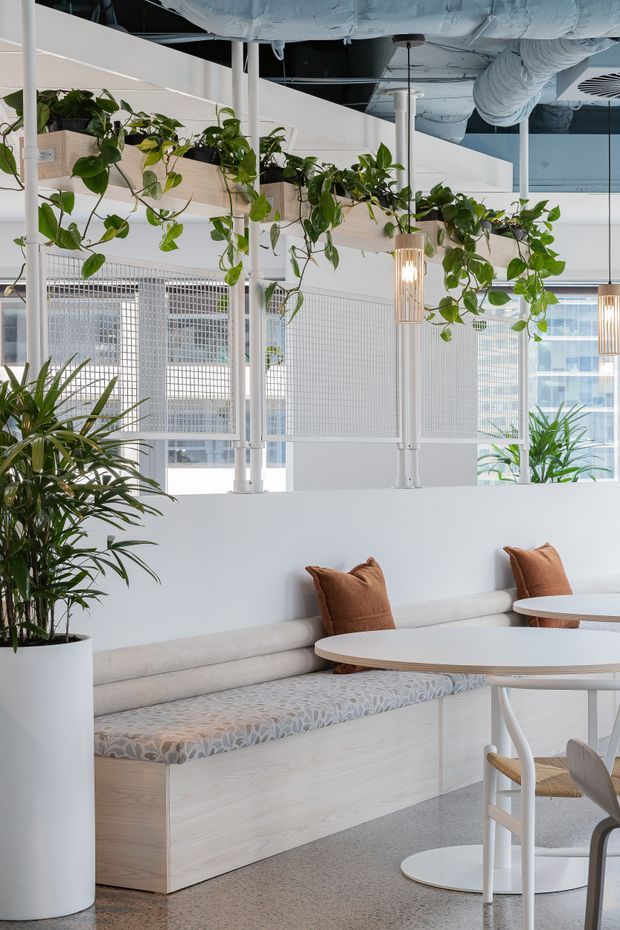 Bright contemporary commercial interior with built-in upholstered banquette seating, round café tables, white chairs, abundant hanging and potted greenery, and exposed services overhead. The space features white mesh screening, pale timber joinery, terrazzo-style flooring, and warm pendant lighting.