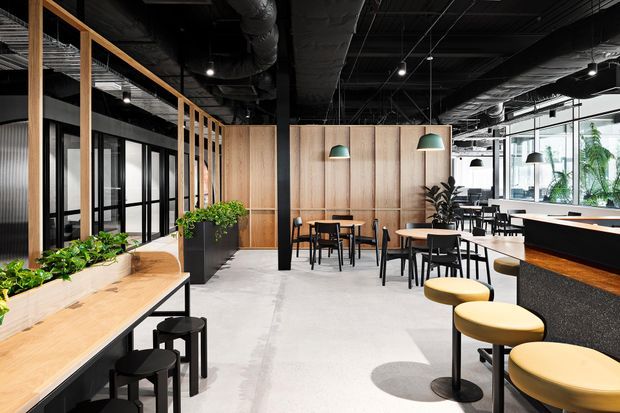 A contemporary open-plan commercial interior featuring a café-style breakout and dining area, timber partition screens, built-in timber seating and planters, black metal framing, exposed services, pendant lights, and a long counter with stools. The space has an industrial character softened by warm timber and indoor greenery.