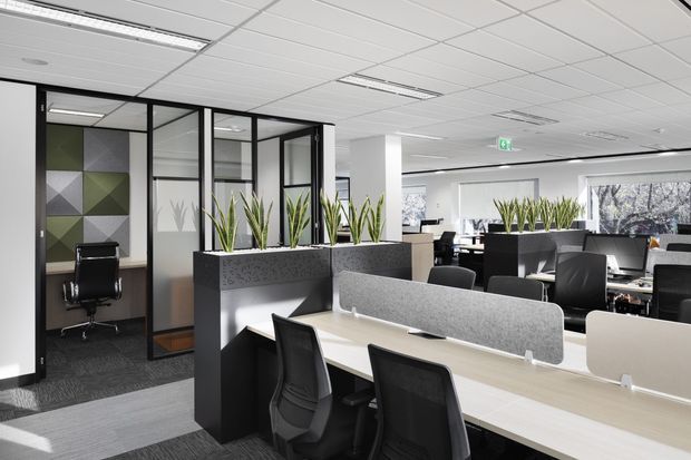 A bright contemporary open-plan office with shared workstations, black office chairs, acoustic desk screens, and tall planter dividers. Glazed private offices line the left side, one featuring a geometric multicolour wall panel. The space has a suspended grid ceiling, integrated fluorescent lighting, dark carpet tiles, white columns, and abundant daylight through windows.
