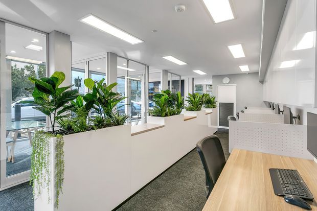 Bright contemporary open-plan office interior with rows of workstations, white partitions, pale timber desks, extensive internal glazing, and large built-in planter dividers filled with lush greenery. Recessed rectangular ceiling lights and white finishes create a clean, professional workspace with abundant daylight.