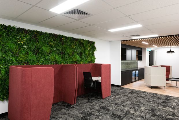 A contemporary commercial office breakout and collaboration area with burgundy upholstered booth seating, black task chairs, and a large living plant wall. The space includes a kitchenette or refreshment area in the background, white walls, acoustic-style slatted ceiling detail, suspended pendant lighting, and patterned dark carpet.