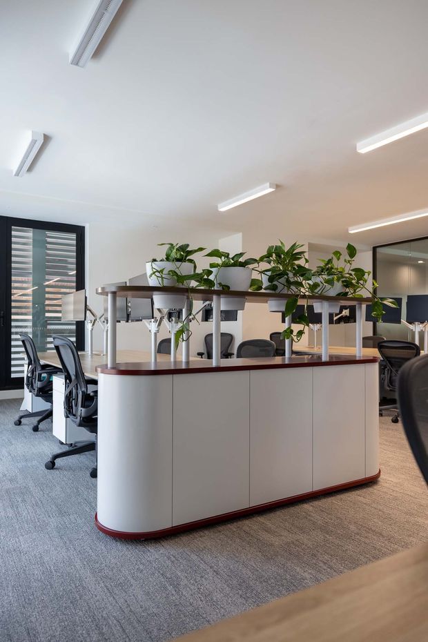 A bright contemporary open-plan office interior with a curved white reception or workspace counter featuring a dark red-brown trim and countertop. Potted plants sit on an elevated divider shelf, separating rows of black office chairs and workstations. The room has grey carpet, white walls and ceiling, linear LED light fixtures, windows with dark horizontal blinds, and interior glazing.