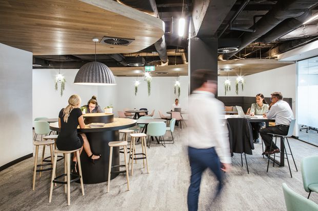 A contemporary open-plan commercial interior with shared dining and work areas. The space features a large central communal table, smaller tables, pale upholstered seating, timber-look ceiling panels, exposed black services and ductwork, pendant lighting, hanging plants, and polished concrete flooring. People are using the space as a casual workplace or café-style breakout area.