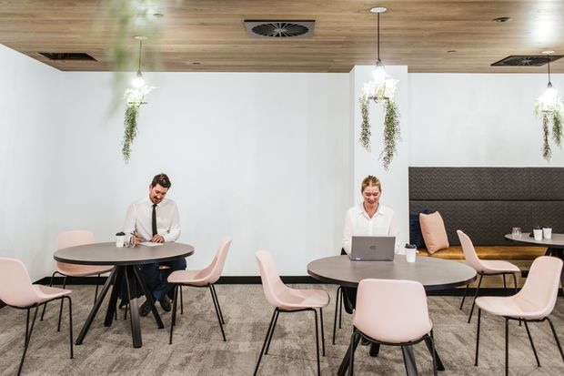 A contemporary communal dining and work area with several round tables, pale pink chairs, pendant lights with hanging plants, a timber-lined ceiling, carpeted floor, and a dark upholstered banquette along the rear wall. Two people are working at the tables, and a laptop and coffee service are visible.
