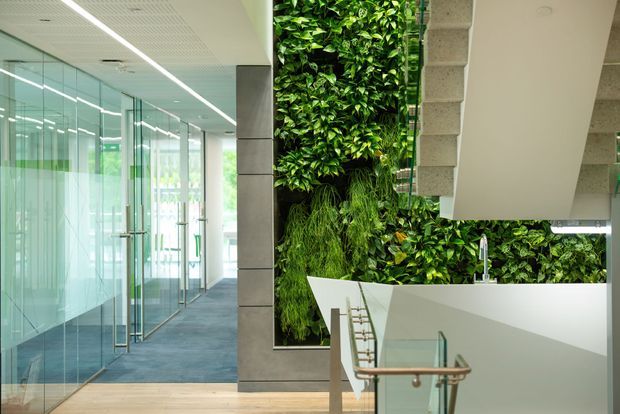Contemporary commercial interior showing a glazed corridor with frameless glass office partitions and doors, a dark grey tiled structural wall, and a stair landing with glass balustrade and timber handrail. A prominent vertical living wall of dense green planting forms a feature behind the stair, beneath a white angular stair or ceiling structure. The space is bright, clean, and highly refined.