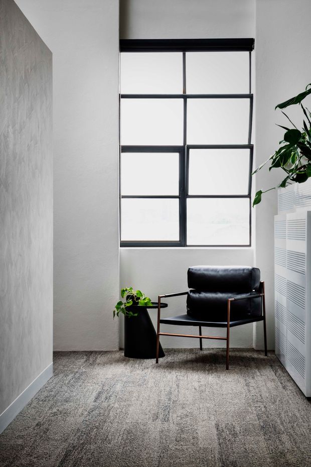 A bright, narrow interior nook with a tall black-framed industrial-style window, white textured walls, grey carpet, and a black leather lounge chair with slender timber-toned arms and legs. A black planter and leafy plant sit beside the chair, while white louvred or slatted built-in cabinetry lines the right wall. The restrained palette and abundant natural light create a refined, calm seating area.