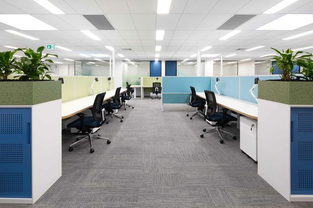 A bright, open-plan commercial office with rows of workstation desks, black ergonomic task chairs, pale blue and green privacy partitions, white storage pedestals, and large integrated planter screens. The space has a suspended white acoustic tile ceiling with recessed linear fluorescent lighting and grey patterned carpet tiles.