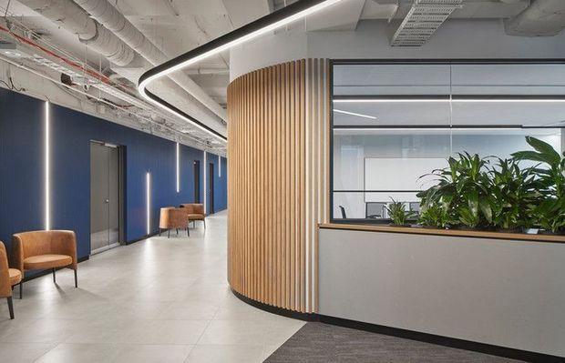 Contemporary commercial office interior featuring an open corridor, deep blue walls, exposed white services and ductwork, linear LED lighting, pale tiled flooring, a curved timber slat feature wall, and a glazed planter partition enclosing a workspace. Warm lounge chairs provide limited seating along the corridor.