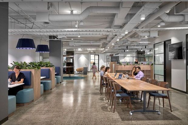 A bright open-plan commercial office interior with polished concrete flooring, exposed white-painted services and ductwork, suspended acoustic lighting, glass meeting-room partitions, timber communal tables, and upholstered booth seating with integrated planter dividers. Several people are working and dining around shared tables.