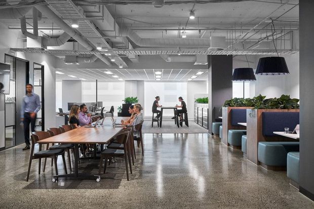 A contemporary open-plan commercial office with collaborative dining-style worktables, individual desks, booth seating, pendant lights, indoor planting, exposed services, and polished concrete flooring. The space has a bright, spacious workplace atmosphere with a mix of communal and semi-private work areas.