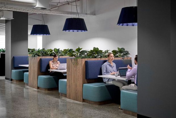 Contemporary commercial interior featuring a row of semi-private booth seating with teal upholstered benches, navy-blue backrests, timber privacy partitions, and integrated planter boxes. Large dark pendant lights hang beneath an exposed services ceiling, while several people work or meet at built-in tables. The polished concrete floor and open-plan layout suggest a modern office, coworking, or hospitality setting.