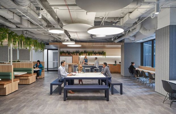 A contemporary open-plan commercial workplace dining and breakout area with communal picnic-style tables, bench seating, lounge booths, a café-style kitchenette, and informal workspaces. The interior features exposed services and ductwork, suspended circular acoustic panels, large pendant lights, timber joinery, grey flooring, greenery, and extensive glazing.