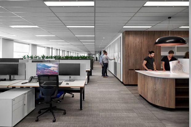 A bright, open-plan commercial office interior with rows of workstation desks, computer monitors, office chairs, low partition screens, and planter dividers. A central circulation corridor leads toward a reception or kitchenette-style curved timber-veneered counter with open shelving and a large black pendant light. The space has a suspended acoustic tile ceiling, linear fluorescent lighting, extensive glazing, and grey carpet.