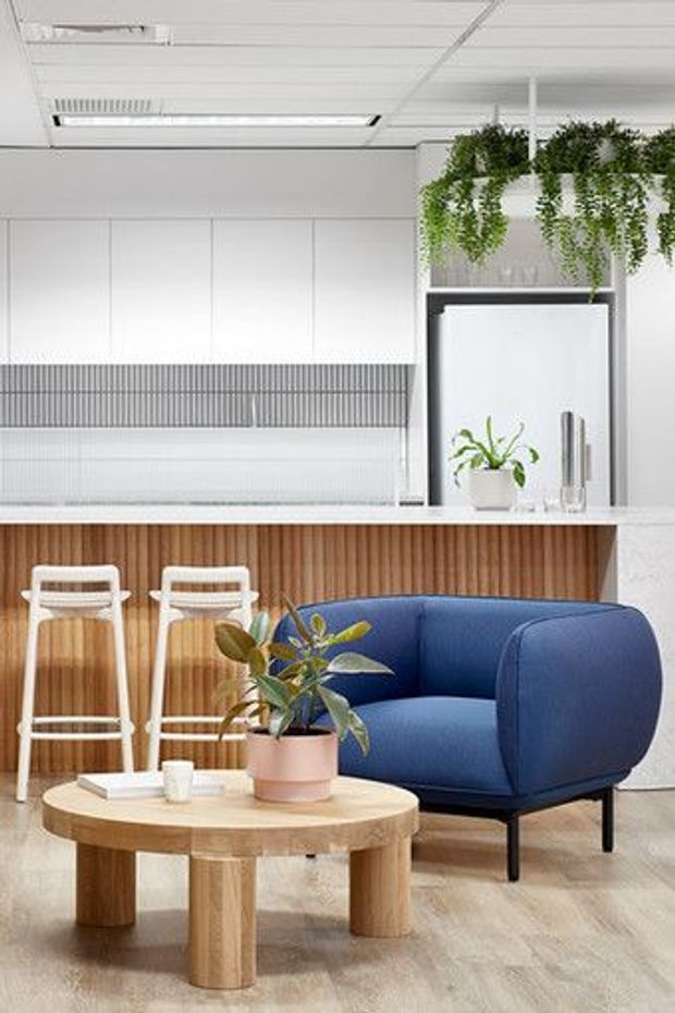 Bright contemporary office breakout or reception area with a compact kitchenette and built-in timber-look counter, white overhead cabinetry, indoor hanging plants, two white bar stools, a rounded deep-blue lounge chair, and a low round timber coffee table. The space has a suspended white ceiling with recessed linear lighting and pale wood-look flooring.
