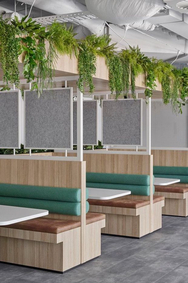 A contemporary commercial interior with rows of built-in booth seating, light timber partitions and joinery, teal upholstered bench seats, dark wood-toned seat bases, white tabletops, and grey acoustic privacy panels. Abundant hanging greenery runs along overhead timber elements, while exposed white services and ductwork create an open ceiling.