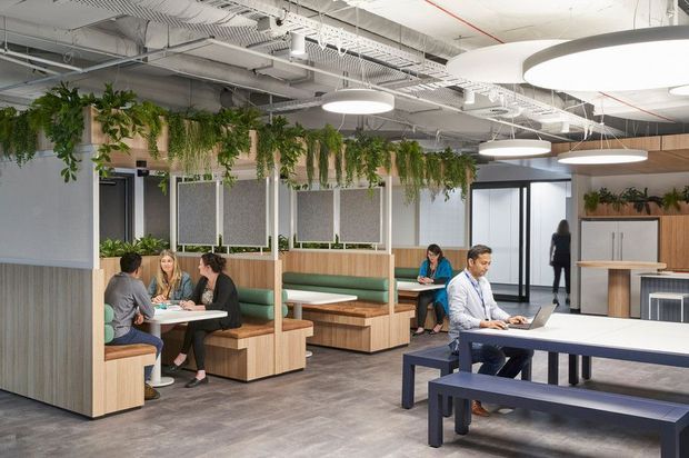Open-plan contemporary office interior with collaborative booth seating, communal worktables, acoustic privacy screens, extensive suspended greenery, exposed services, and large circular pendant lights. The space combines timber joinery, green upholstered seating, and grey finishes in a bright, flexible workplace setting.