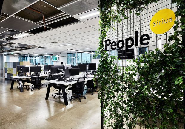 An open-plan commercial office with rows of workstations, monitors, office chairs and desks. A prominent black wire-grid partition supports dense climbing greenery and displays a large “People” sign with a yellow circular logo. The space has exposed services, a suspended grid ceiling, polished concrete flooring and extensive internal glazing, creating an industrial-inspired contemporary workplace.