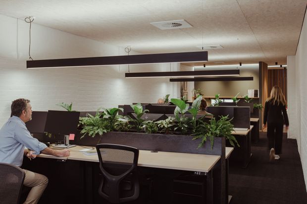 A contemporary open-plan office with shared workstations arranged in rows, dark partitions and built-in planter dividers, ergonomic office chairs, computers, and suspended linear pendant lighting. White-painted brick walls, a dark carpeted floor, and timber-toned screening at the rear create a subdued, professional workspace with abundant greenery.