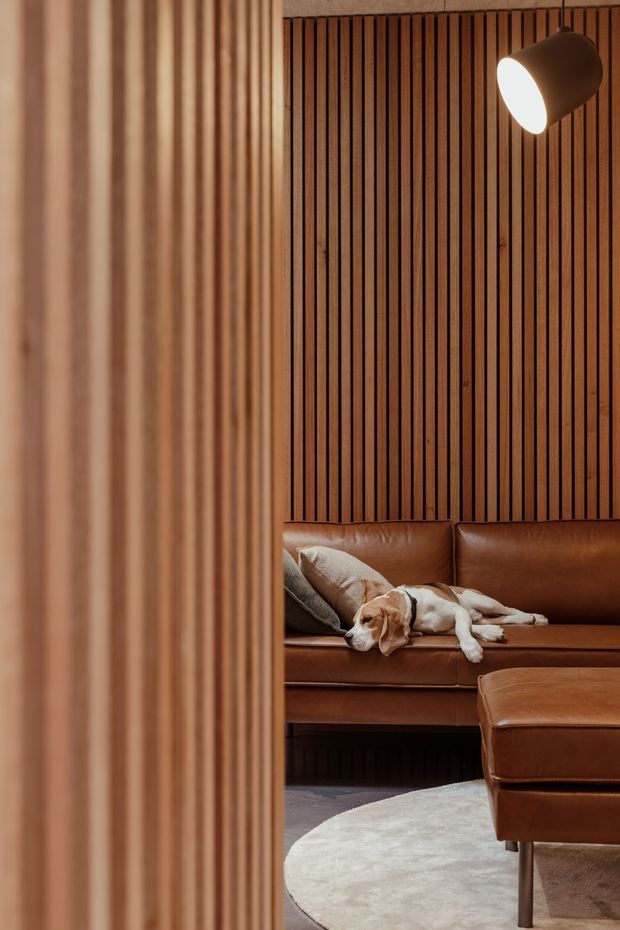 A warmly lit interior view into a refined living room, framed by a vertical timber slat partition in the foreground. The room features a rich brown leather sofa and matching ottoman, a pale round rug, dark flooring, and a sleeping dog. A sculptural wall-mounted lamp illuminates the timber slatted feature wall, creating a cosy, intimate atmosphere.