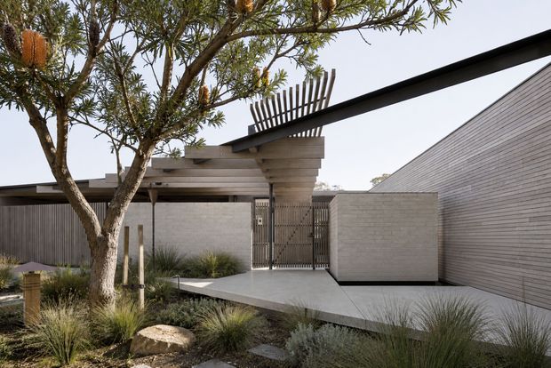 Exterior view of a contemporary residential entry courtyard. The composition features pale masonry walls, horizontal timber-clad forms, a projecting dark steel roof or canopy element, a timber pergola with slatted screening, and a gated entrance. Native-style grasses, low planting, and a sculptural tree soften the minimalist architecture.
