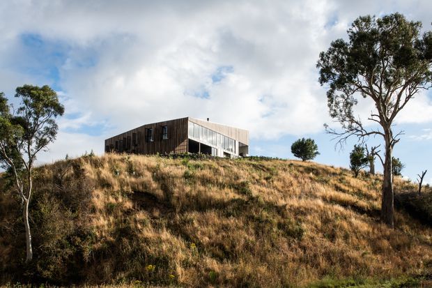 A contemporary single-storey-looking angular house sits prominently on a gently elevated, grassy rural or bushland site. The building has dark timber-clad walls, a pale folded or sloping roof form, and extensive glazed openings on the visible corner. Native-looking eucalyptus trees and dry golden grasses surround the isolated structure beneath a partly cloudy sky.