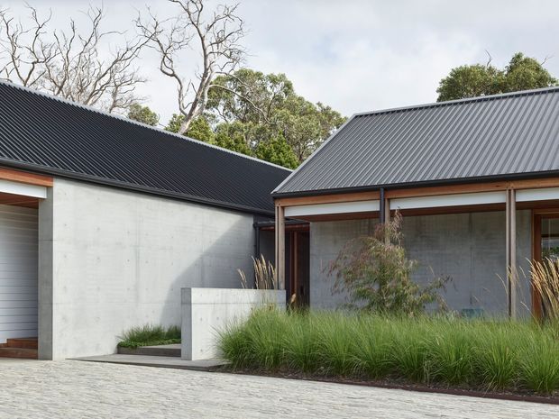 Exterior view of a contemporary single-storey residence composed of low-pitched corrugated metal gabled roofs, raw concrete walls, dark-framed glazing, and timber-lined verandah elements. Ornamental grasses and restrained planting soften the minimalist concrete and metal architecture, while a pale paved driveway or forecourt occupies the foreground.