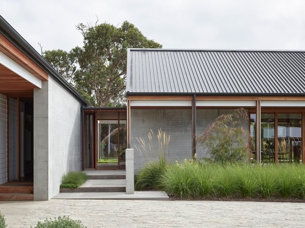 A contemporary single-storey courtyard-style residence with a long corrugated metal gable roof, exposed timber soffits, concrete walls, extensive timber-framed glazing, and a sheltered entry walkway. Ornamental grasses and paved surfaces soften the restrained architectural composition.