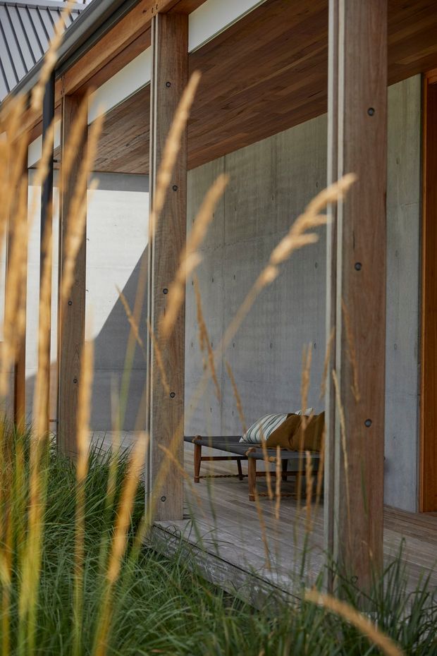 A close architectural view of a sheltered timber-framed outdoor porch or entry zone. Heavy exposed timber posts support a timber-lined ceiling and deck, with a raw concrete feature wall behind a simple bench. Tall ornamental grasses partially obscure the foreground, while a dark metal roof edge and glazed openings are visible at the left.